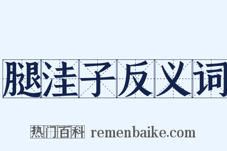 腿洼子反义词是什么意思的图片
